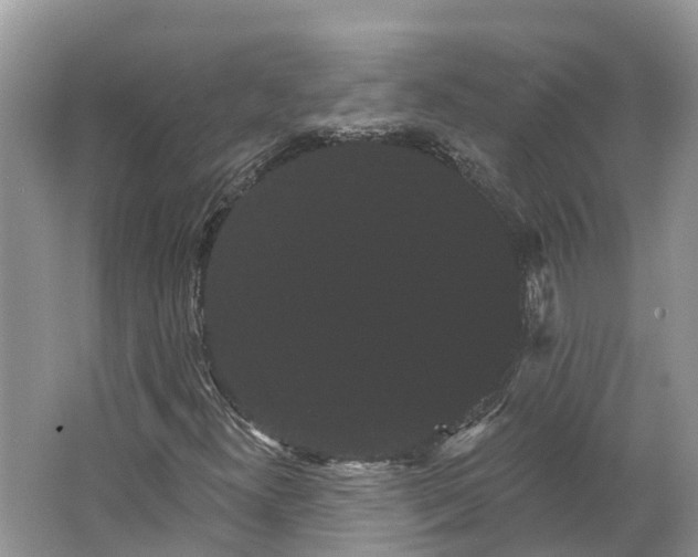 X0000066121300200603241559