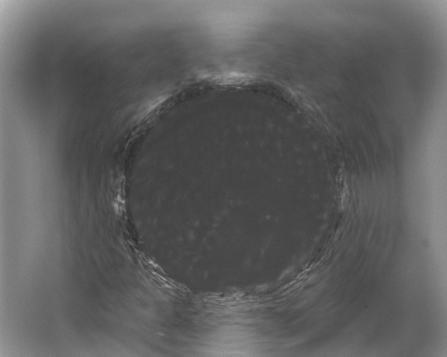 X0000066121301200603241559