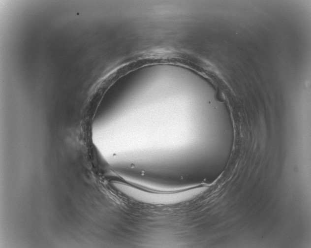 X0000066121304200603241559