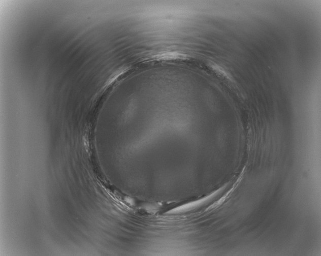 X0000066121305200603241559