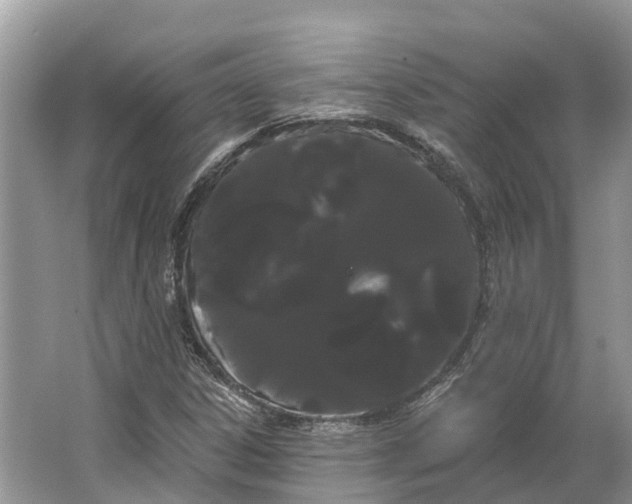 X0000066121306200603241559