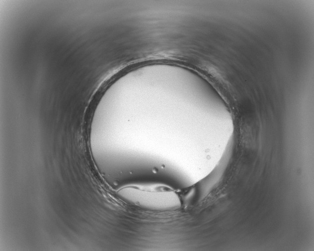 X0000066121308200603241559