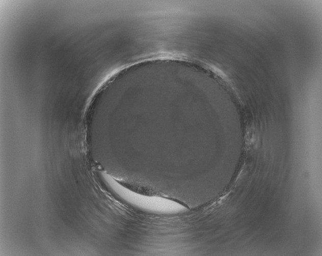 X0000066121310200603241600