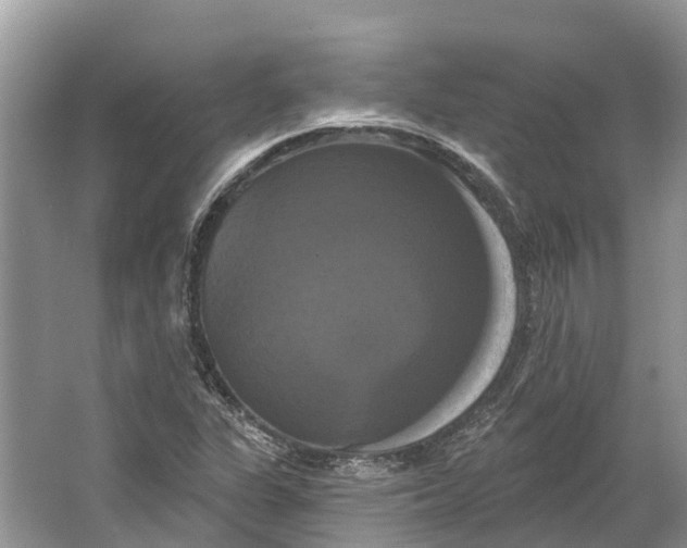 X0000066121311200603241600