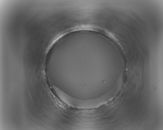 X0000066121312200603241600