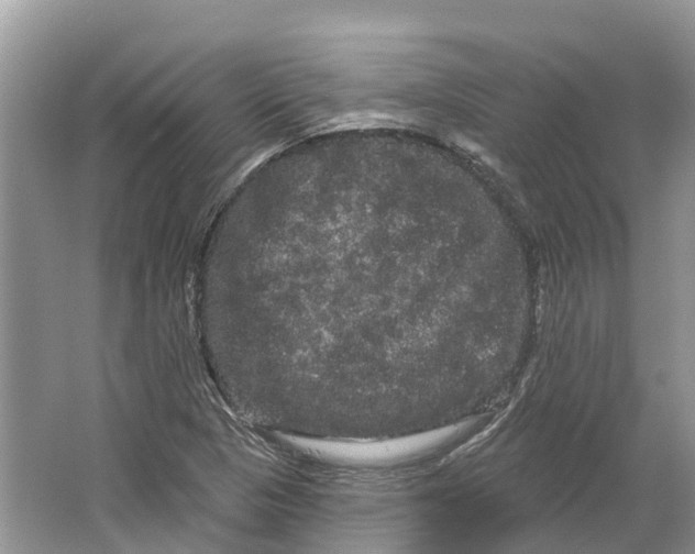 X0000066121313200603241600