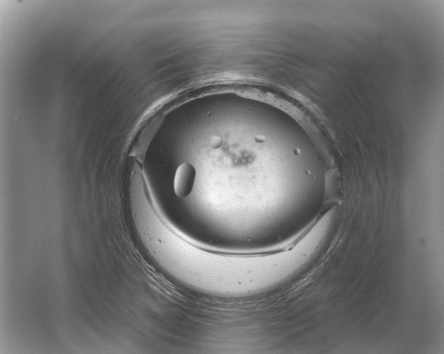 X0000066121314200603241600