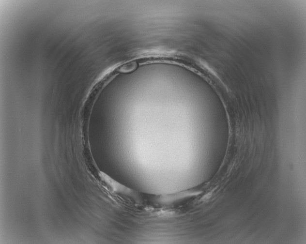 X0000066121315200603241600