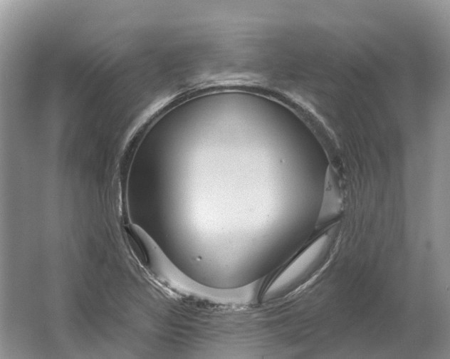 X0000066121317200603241600