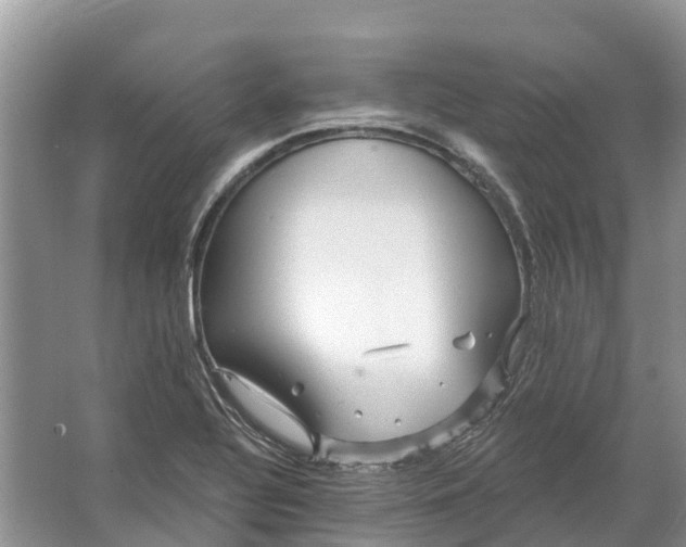 X0000066121320200603241600