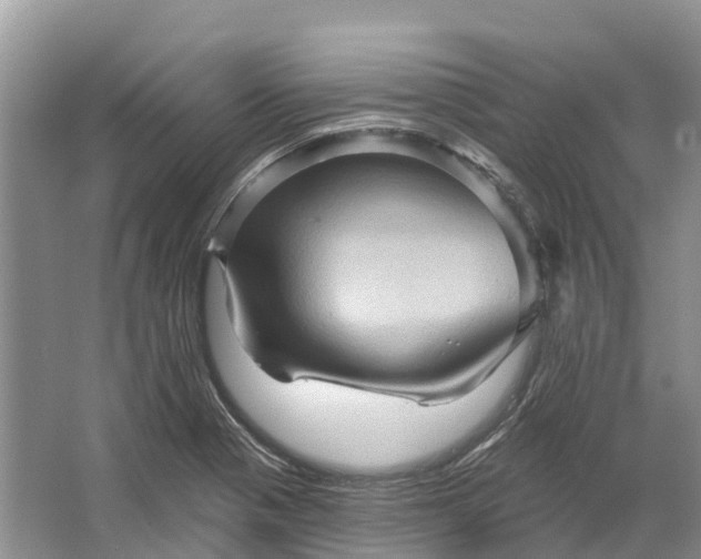 X0000066121321200603241600