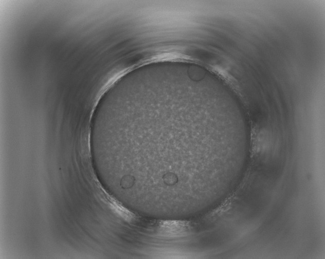 X0000066121322200603241600