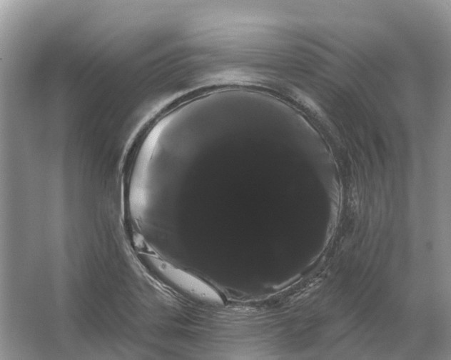 X0000066121323200603241600