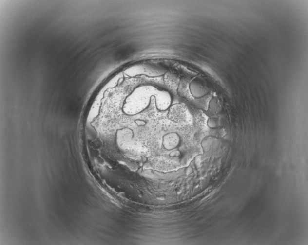 X0000066121325200603241600