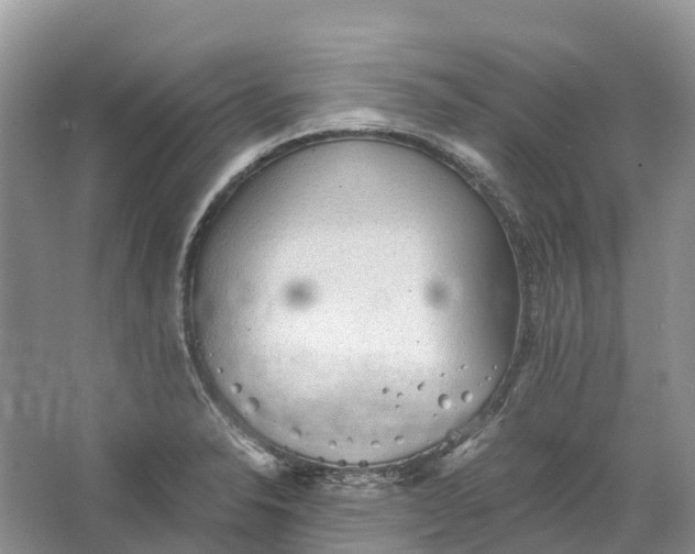 X0000066121326200603241600