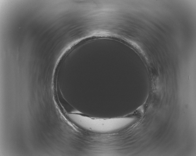 X0000066121327200603241600