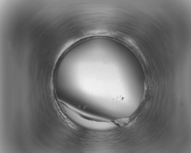 X0000066121328200603241600