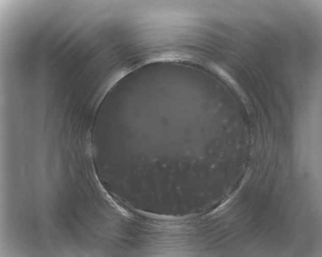 X0000066121329200603241600