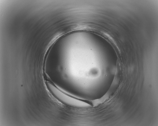 X0000066121330200603241600