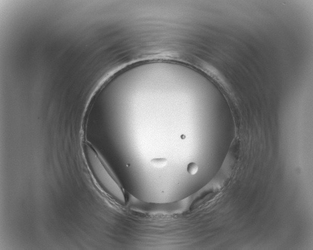 X0000066121332200603241600