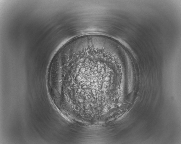 X0000066121333200603241600