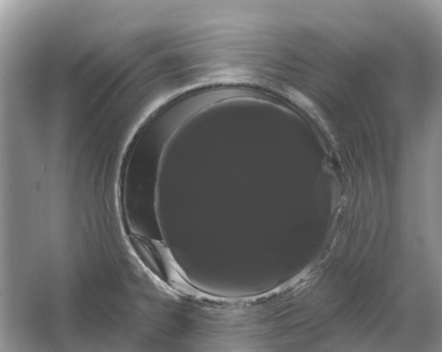 X0000066121334200603241600