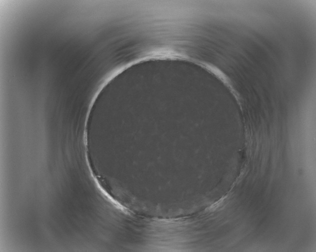 X0000066121335200603241600