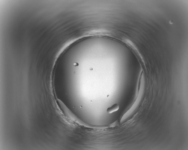 X0000066121336200603241600