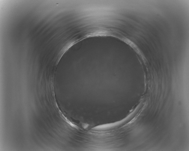 X0000066121337200603241600