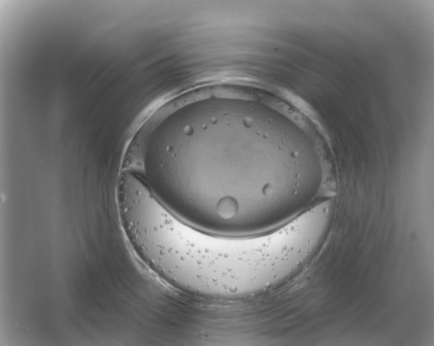 X0000066121338200603241600