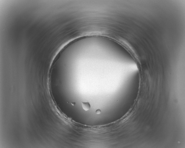 X0000066121340200603241600