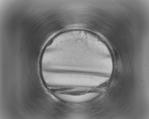 X0000066121341200603241600