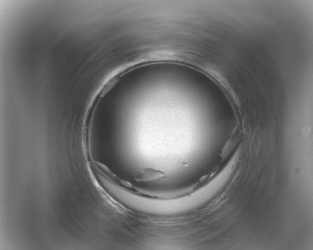 X0000066121342200603241600