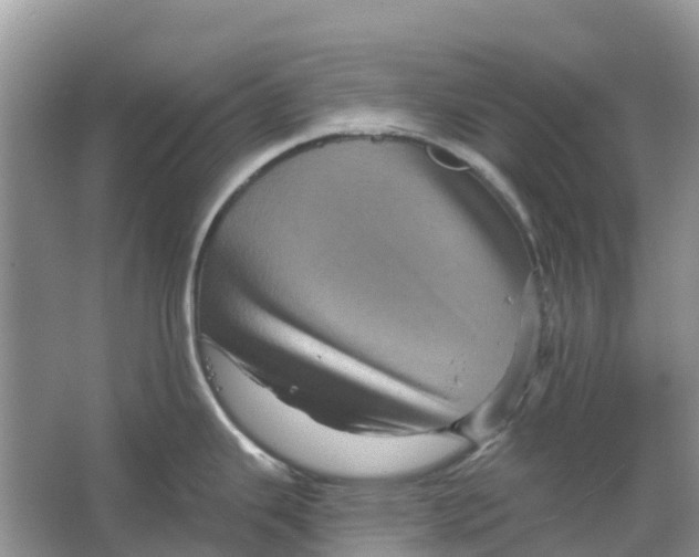 X0000066121343200603241600