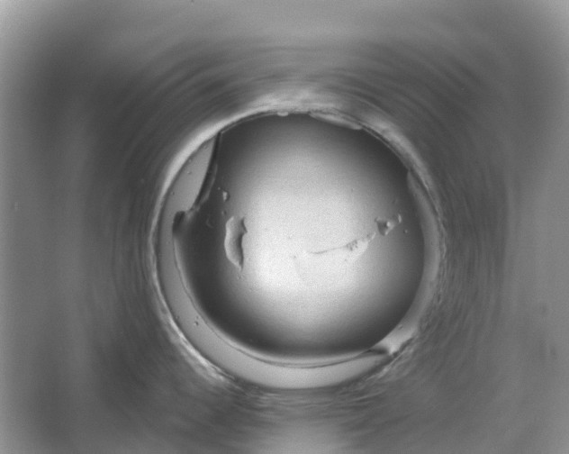 X0000066121344200603241600