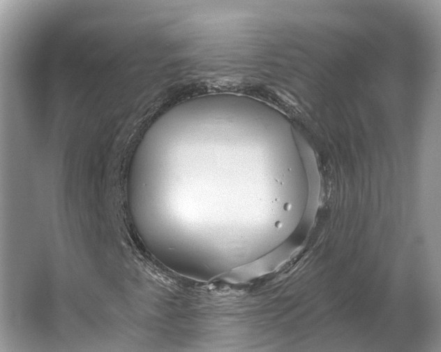 X0000066121345200603241559