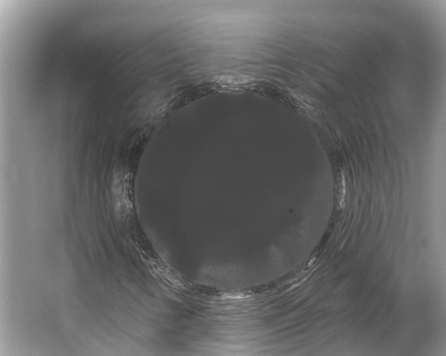 X0000066121346200603241559