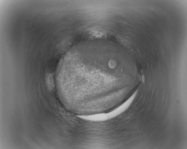 X0000066121347200603241559