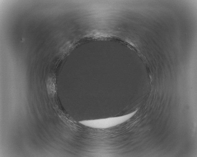 X0000066121348200603241559