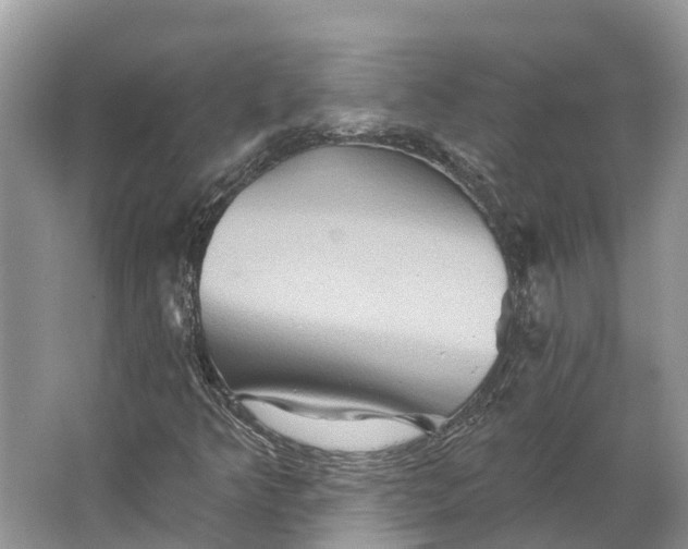 X0000066121349200603241559