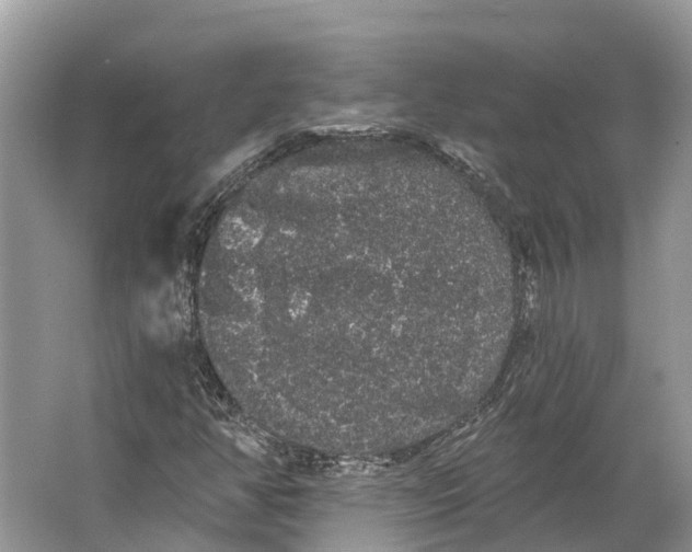 X0000066121350200603241559