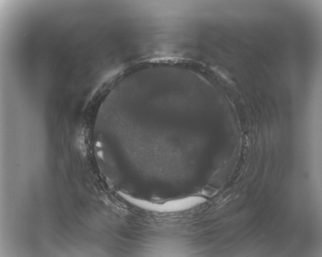 X0000066121351200603241559