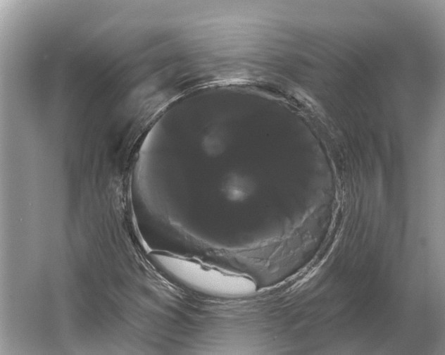 X0000066121353200603241559