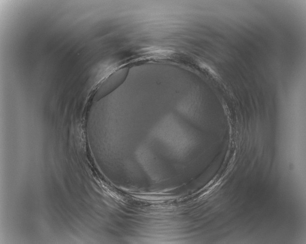 X0000066121354200603241559