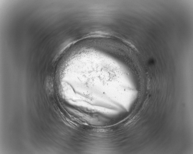 X0000066121355200603241559