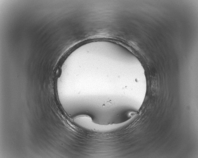 X0000066121356200603241559