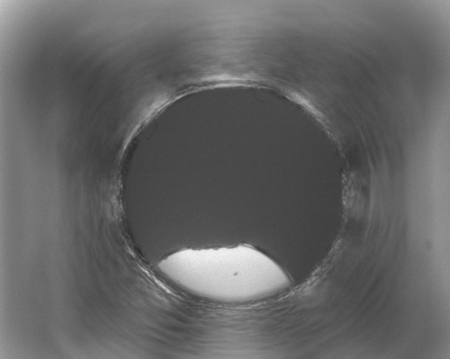 X0000066121357200603241559