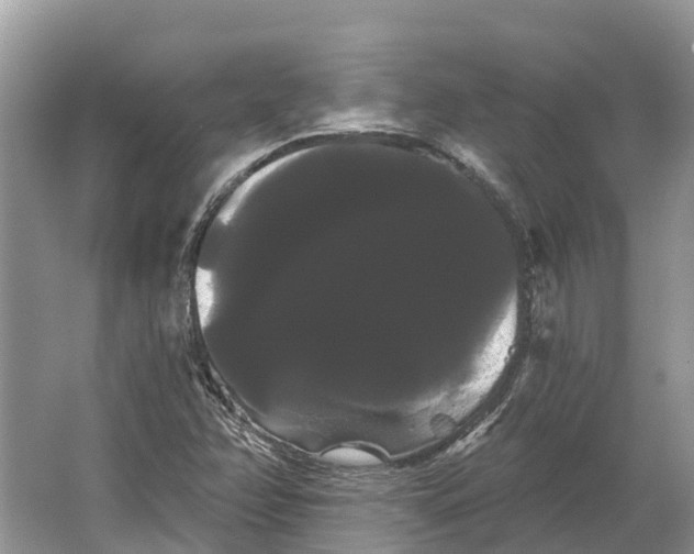 X0000066121358200603241559