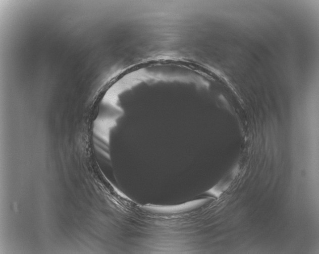 X0000066121359200603241559