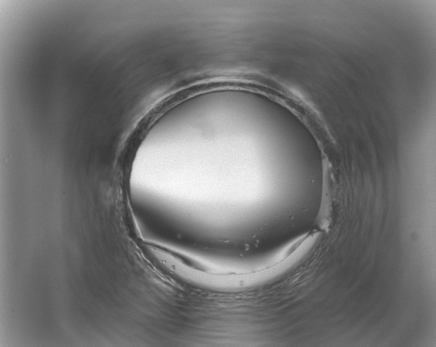 X0000066121360200603241559